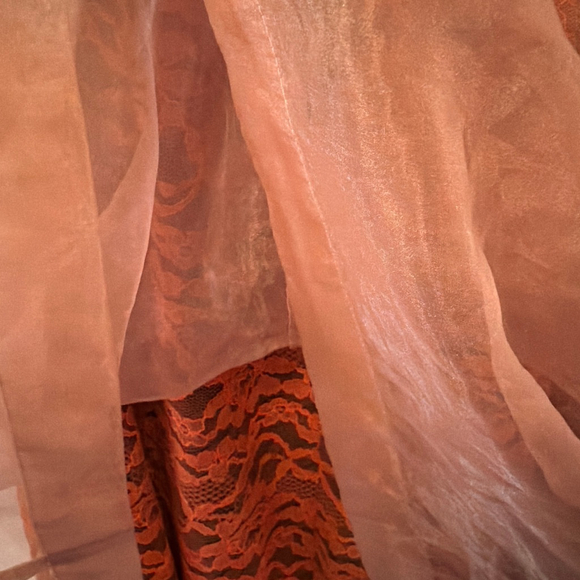 Lili Wang for Lili's Closet Organza Lace Dress Evening Cocktail Party Sz 10 - Picture 6 of 10